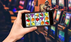 377 bet com